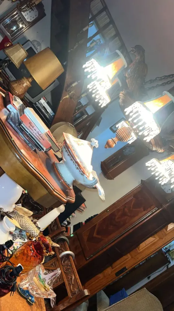 France debarras (25)